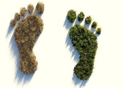 ecological-footprint-4123696__480